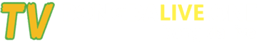 metal slug